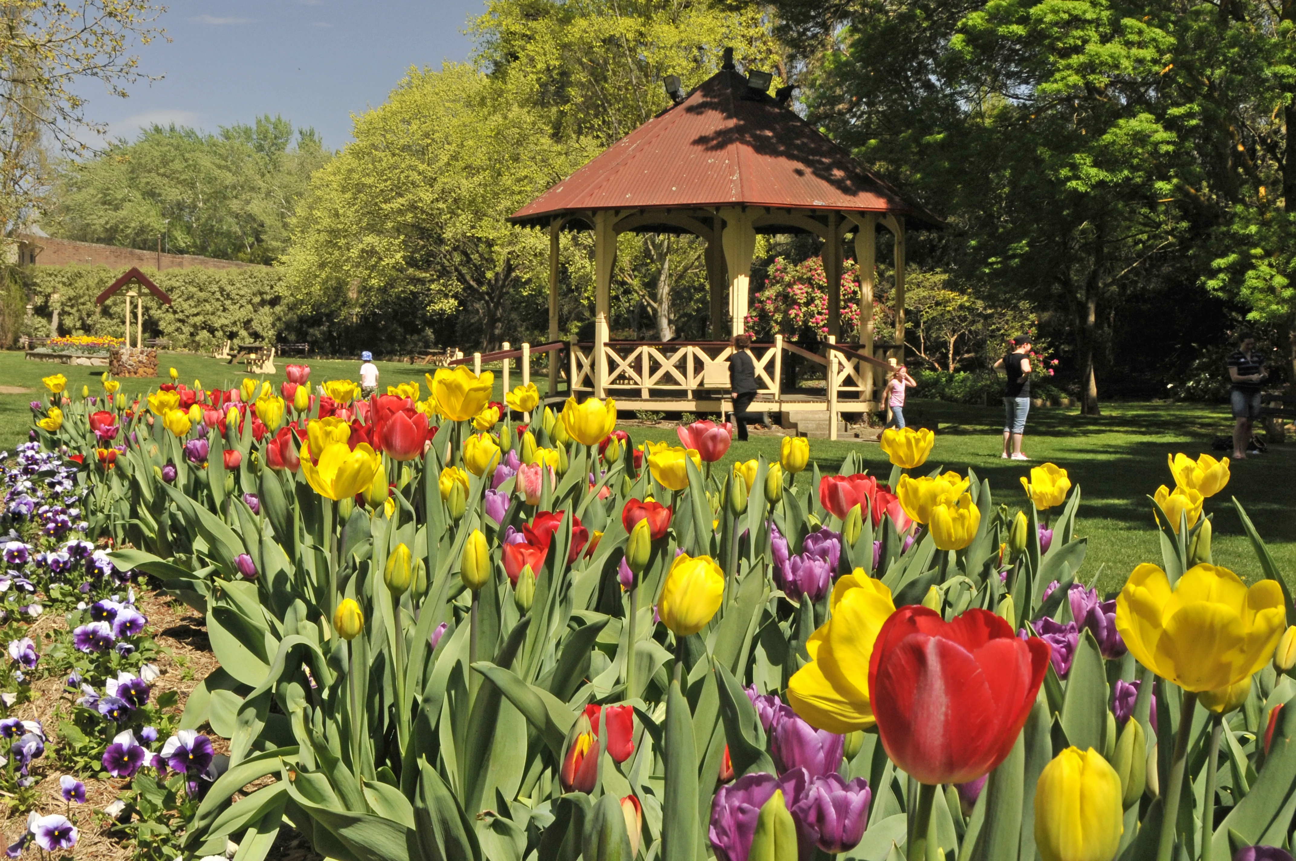 Garden beds at Leighton Gardens in Moss Vale